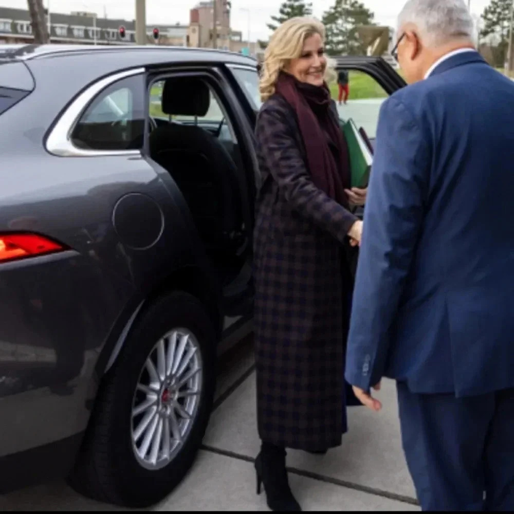 HARRIS WHARF LONDON EUC Gingham Belted Wool Maxi Coat Chocolate Brown Blue 10 44 - Picture 5 of 16